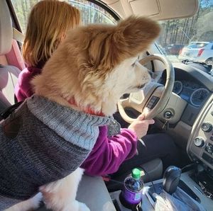 Meet your Posher, Gail